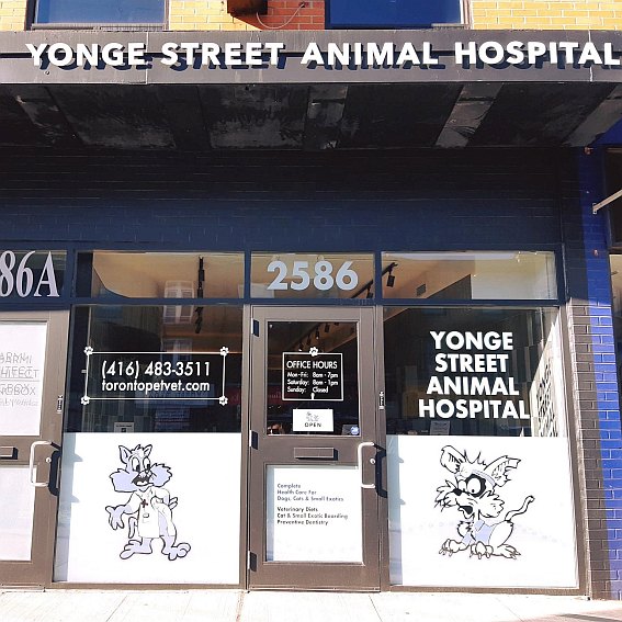 Toronto Veterinary Clinic - Yonge Street Animal Hospital