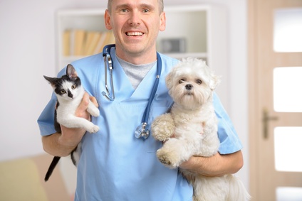 Yonge Street Animal Hospital - Toronto Veterinary Clinic